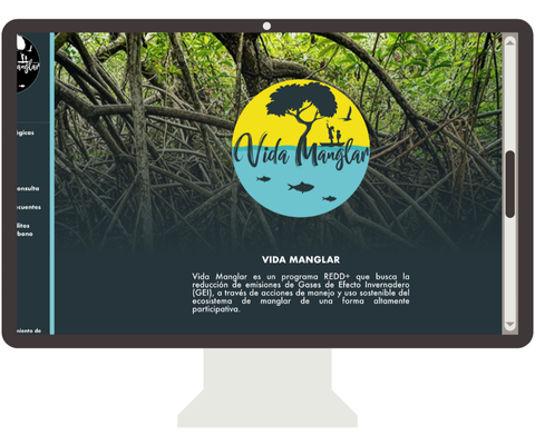Caso de éxito: Vida Manglar